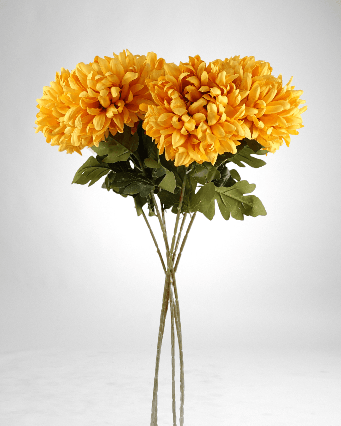 Mzuri Chrysanthemum – Gold (Pack of 6)