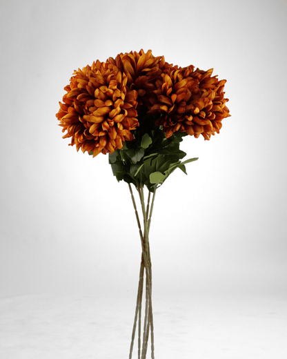 Mzuri Chrysanthemum – Orange (Pack of 6)