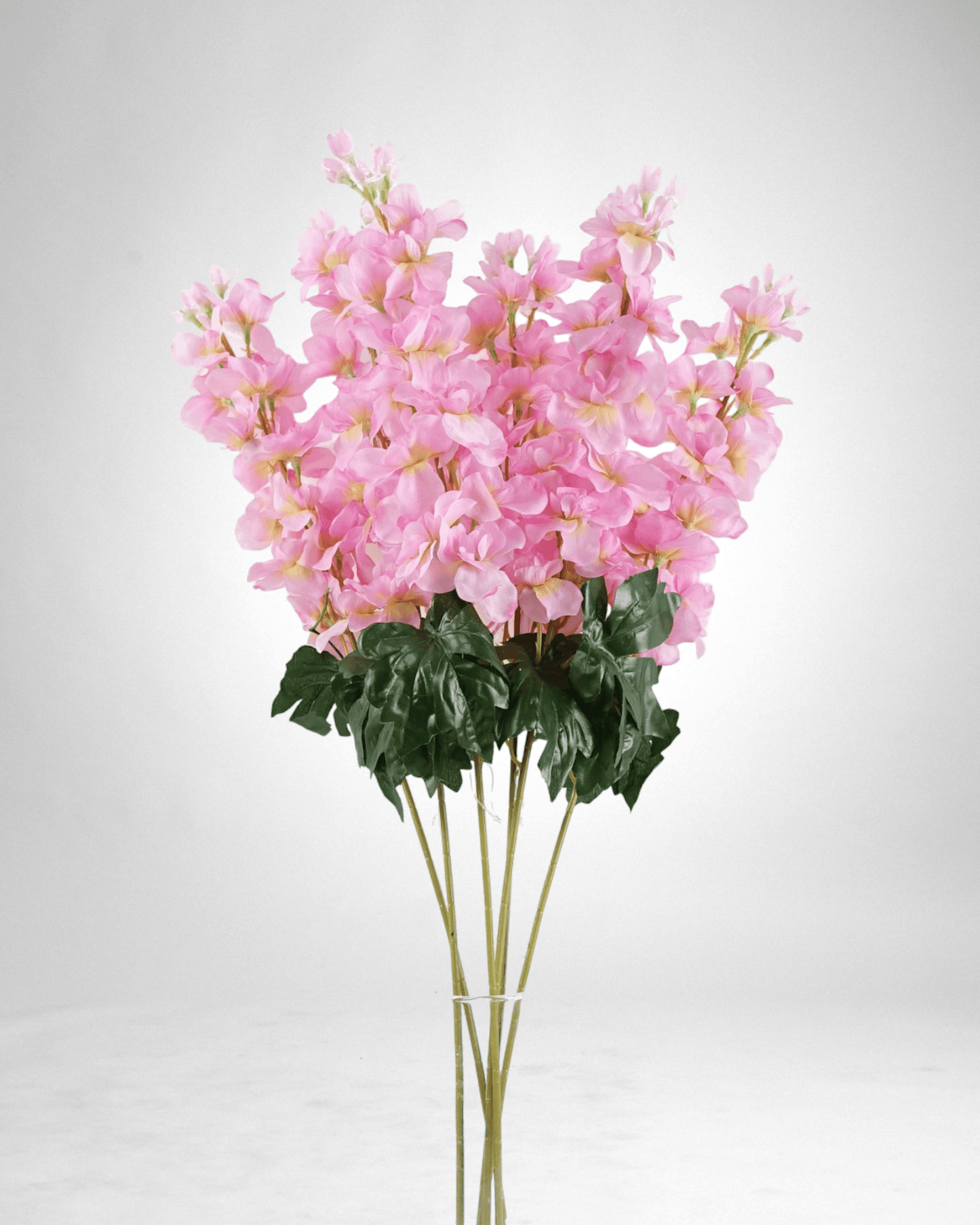 Mzuri Delphinium - Pink (Pack of 6)