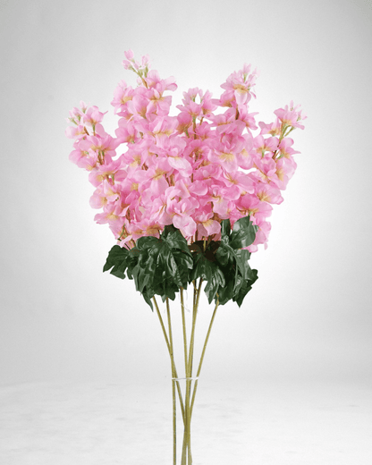 Mzuri Delphinium - Pink (Pack of 6)