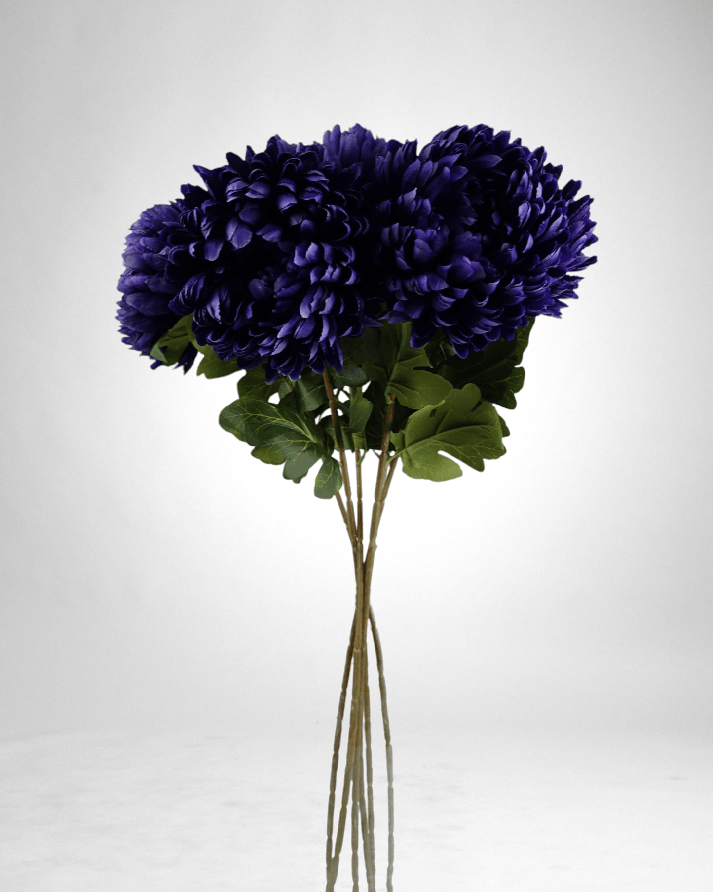 Mzuri Chrysanthemum – Purple (Pack of 6)