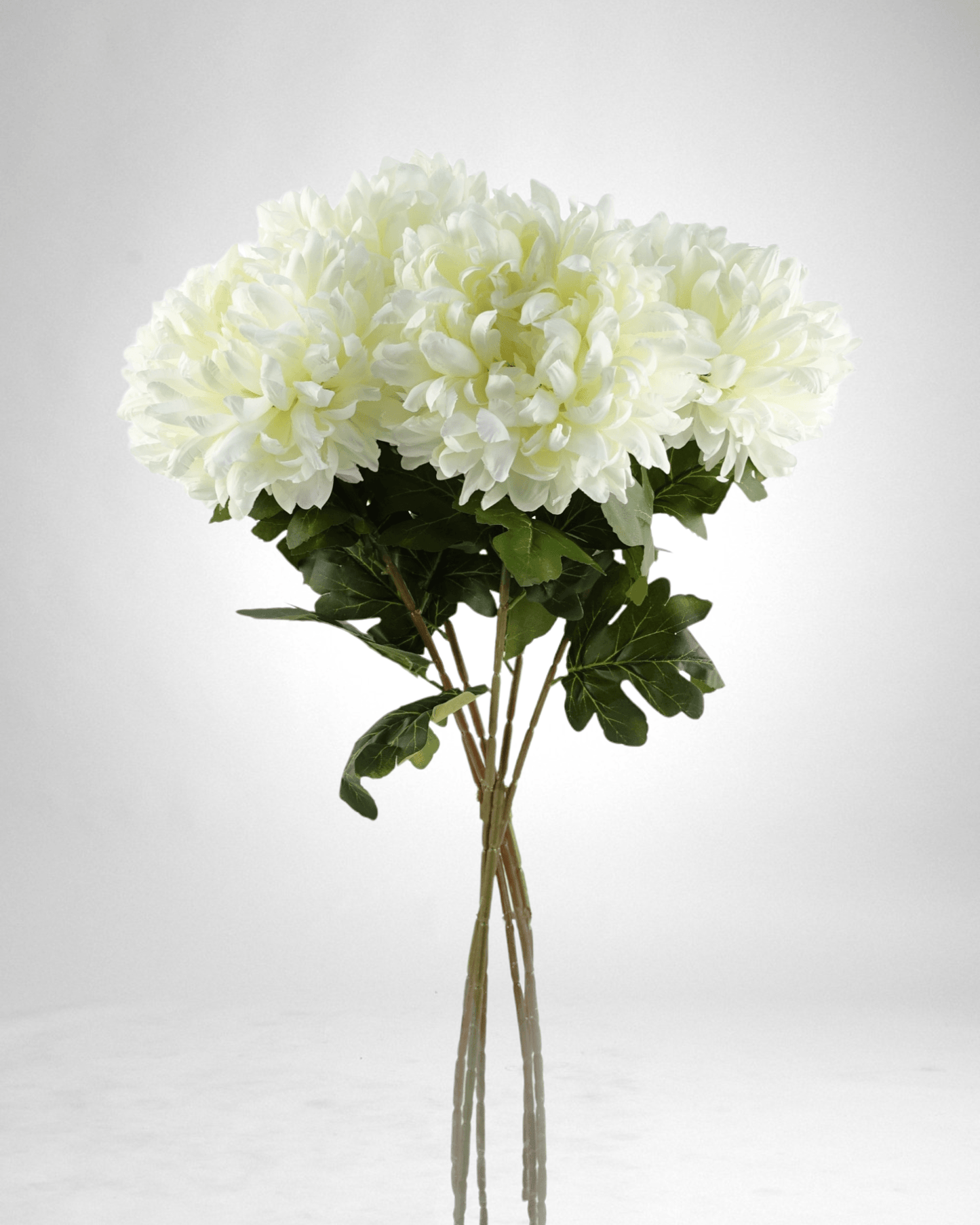 Mzuri Chrysanthemum – White (Pack of 6)