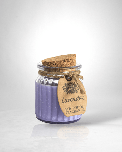 2x Lavender Soy Pot of Fragrance Candles