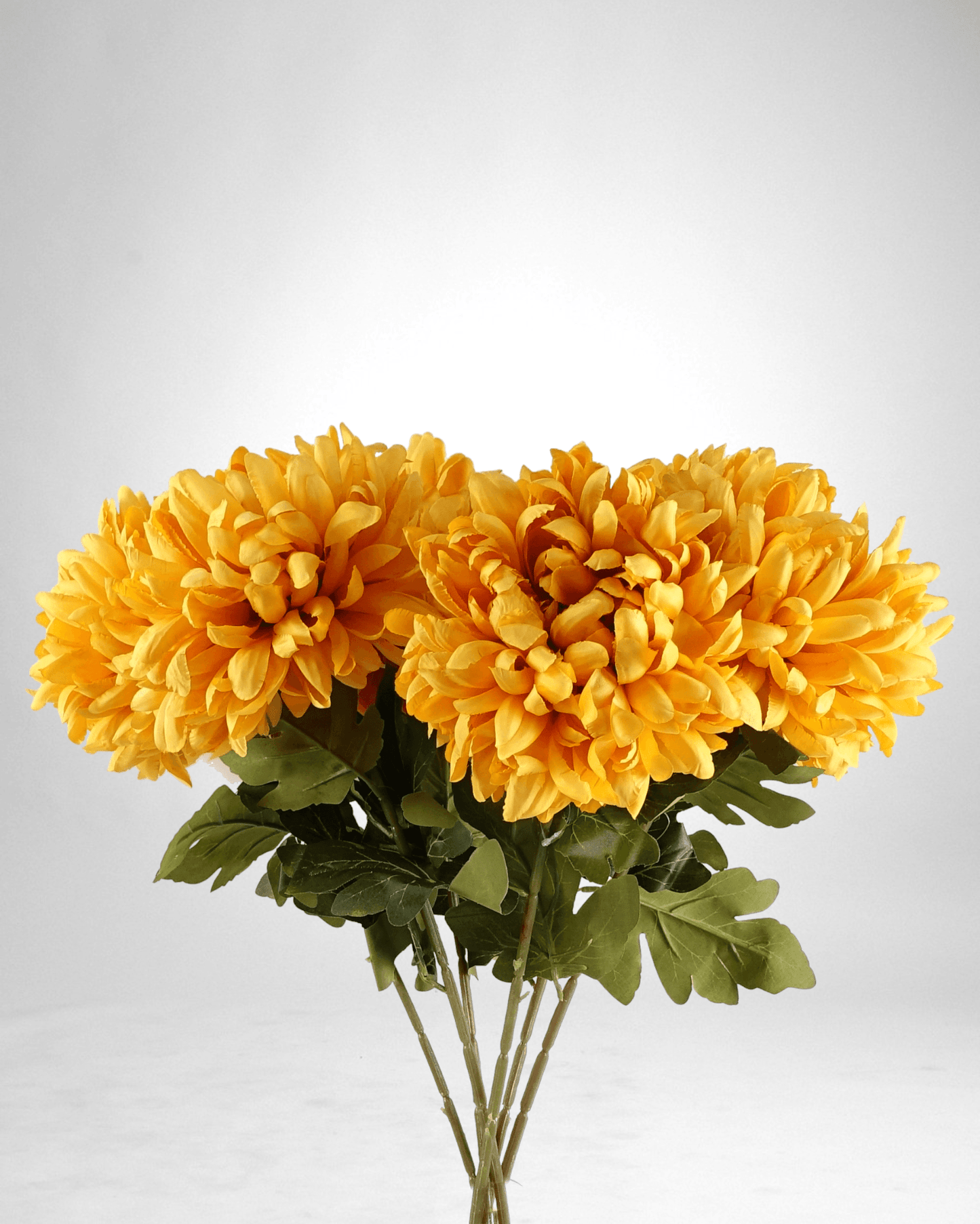 Mzuri Chrysanthemum – Gold (Pack of 6)