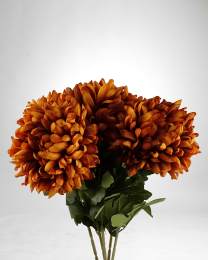 Mzuri Chrysanthemum – Orange (Pack of 6)