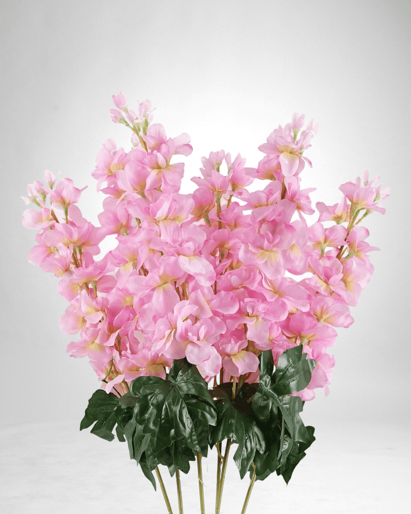 Mzuri Delphinium - Pink (Pack of 6)