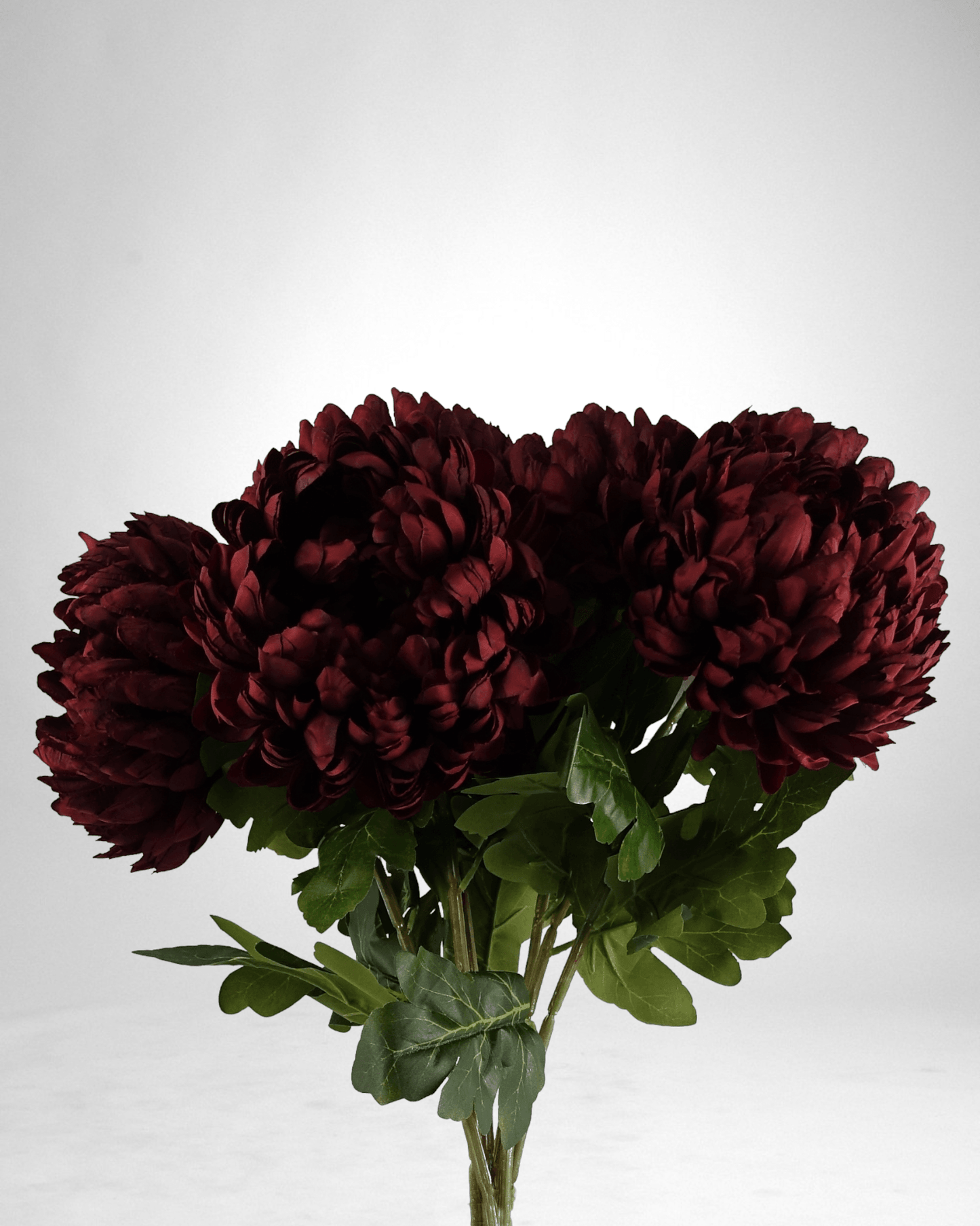 Mzuri Chrysanthemum – Red (Pack of 6)