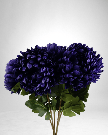 Mzuri Chrysanthemum – Purple (Pack of 6)