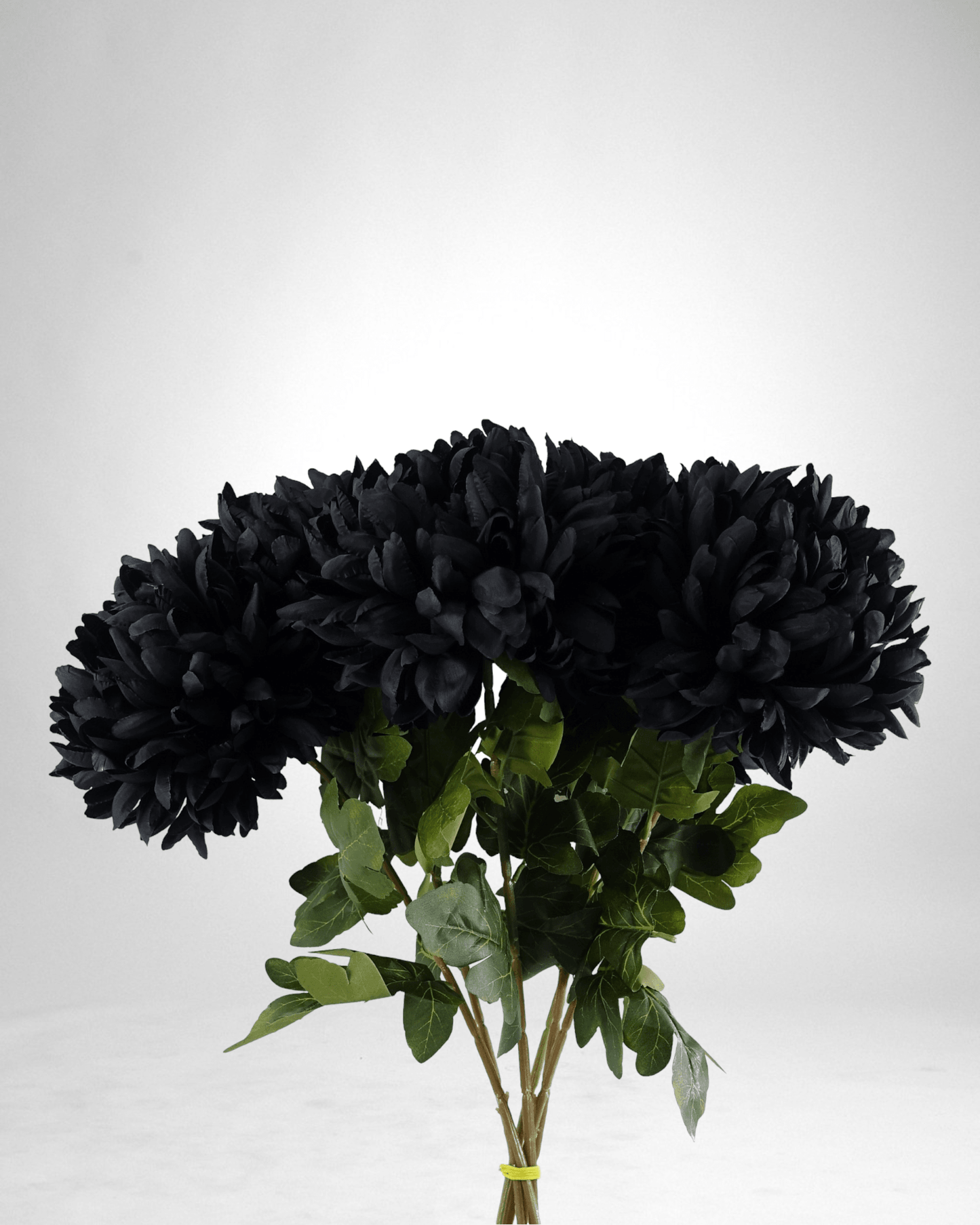 Mzuri Chrysanthemum – Black (Pack of 6)