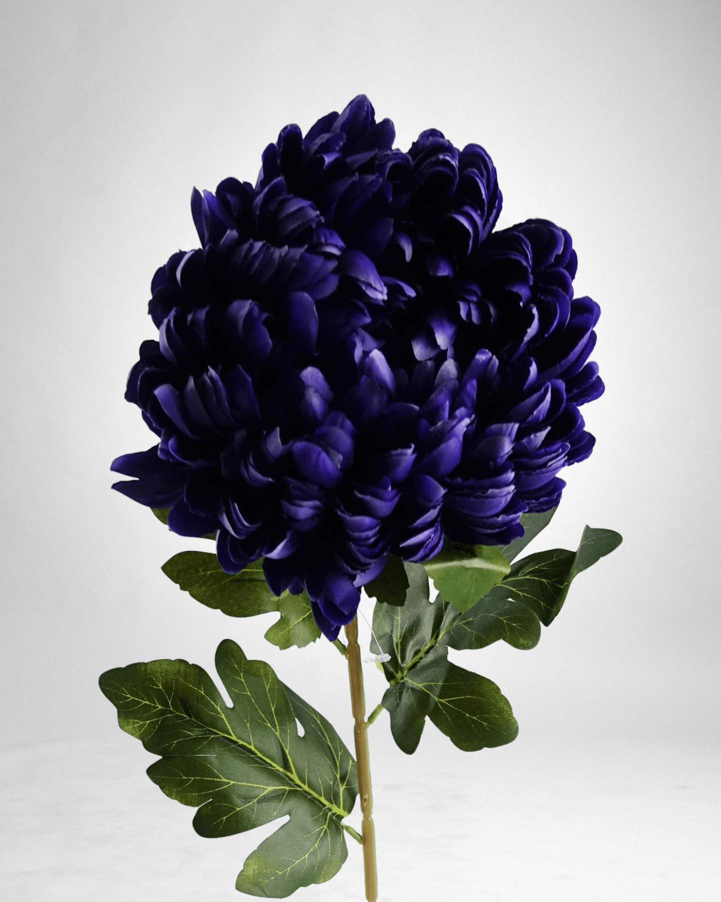 Mzuri Chrysanthemum – Purple (Pack of 6)