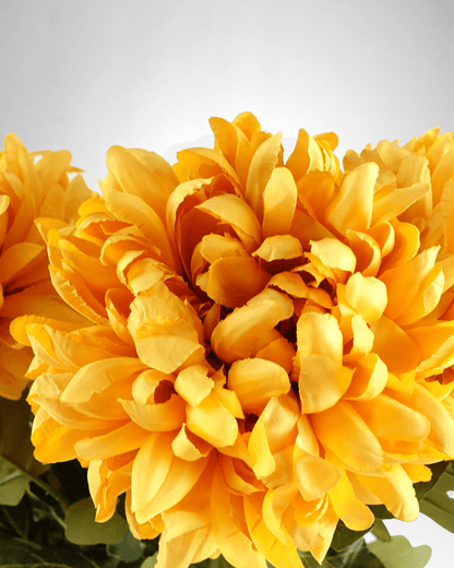 Mzuri Chrysanthemum – Gold (Pack of 6)