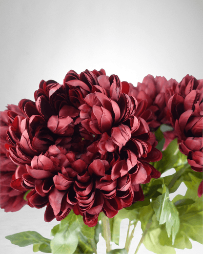 Mzuri Chrysanthemum – Red (Pack of 6)