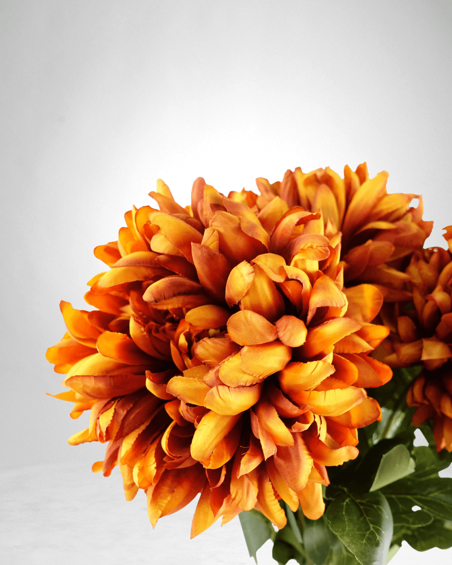 Mzuri Chrysanthemum – Orange (Pack of 6)