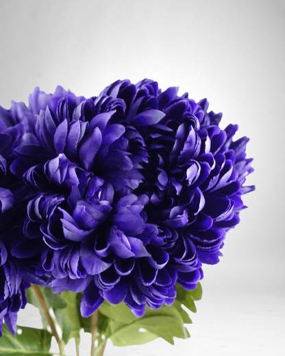 Mzuri Chrysanthemum – Purple (Pack of 6)